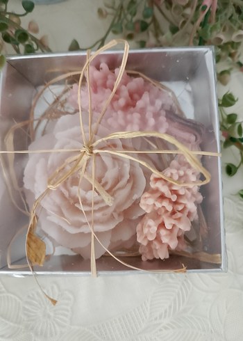 Beden çeşitli Renk Bej Pastel Banyo Süngeri