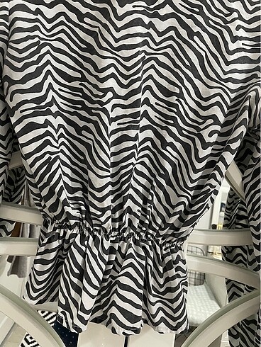 Diğer Zebra gömlek