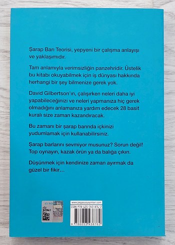 David Gilbertson- Şarap Barı Teorisi - Görsel 2