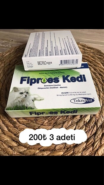 Kedi iç dış