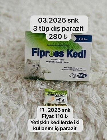 Kedi iç dış