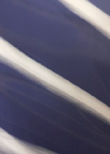 Lacivert Çizgili Kısa Kollu Kadın Gömlek - Görsel 3