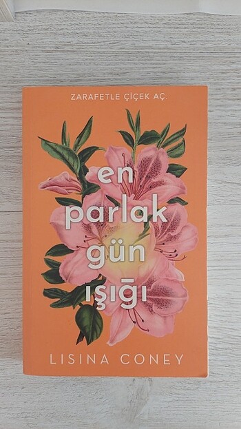 En Parlak Gün Işığı - Lisina Coney