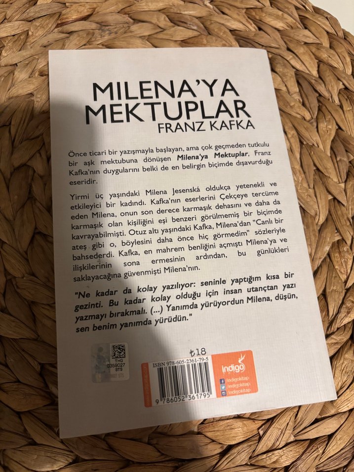 Milena'ya Mektuplar - Franz Kafka - Görsel 2