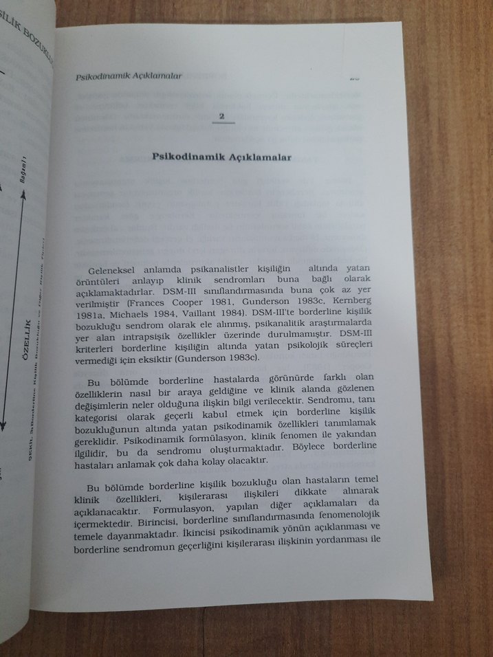 Borderline Kişilik Bozukluğu Kitabı - Görsel 2