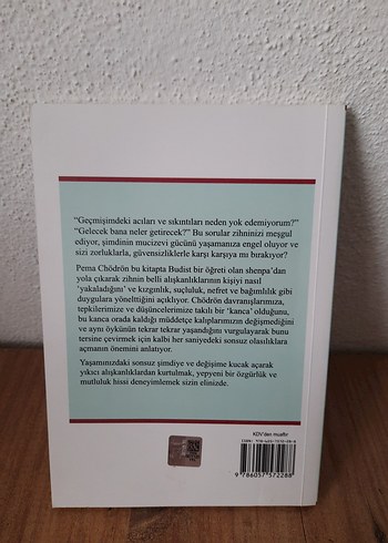 Sıçrayış - Pema Chödrön - Görsel 2