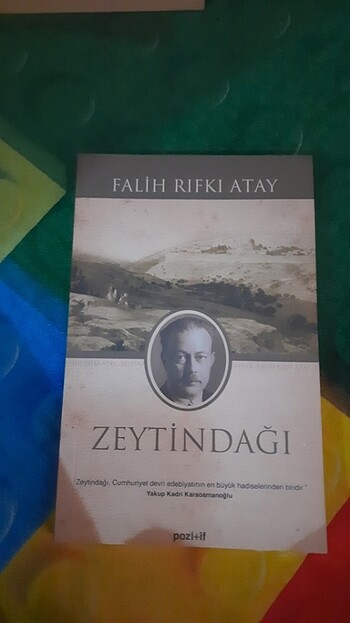 Falih Rıfkı Atay 