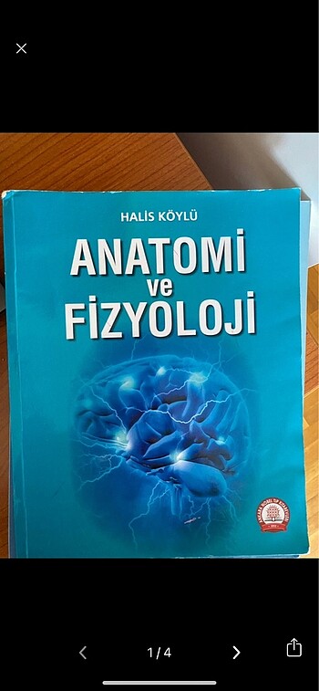 anatomi ve fizyoloji kitabı