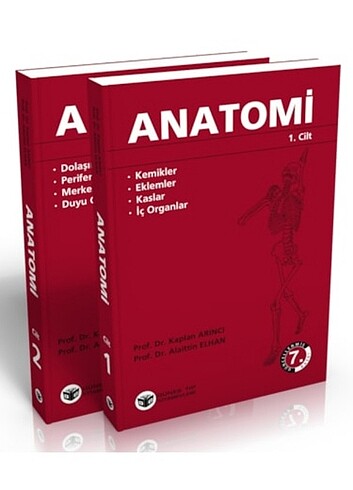 Anatomi kitabı 