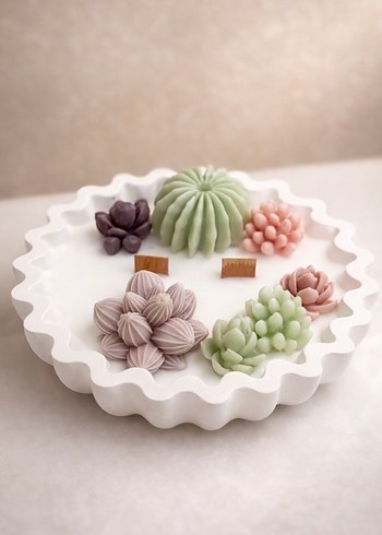 Kaktüs Mum Seti - Görsel 2