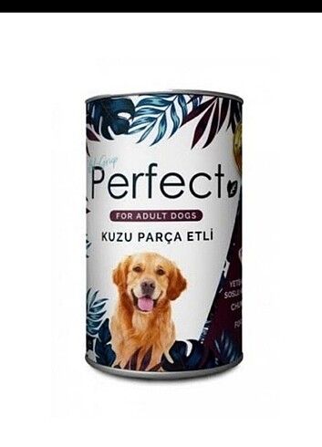 Köpek maması 