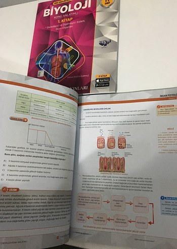 Beden Fen Bilimleri Yayınları Biyoloji Konu Anlatımları 3 Kitap