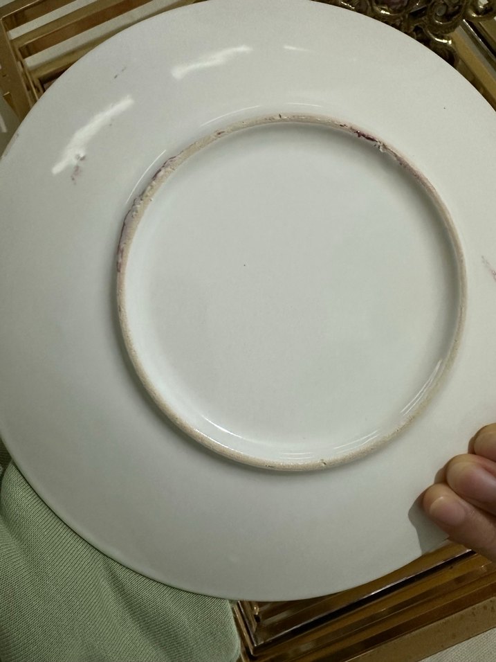 4 tanesi 300 
Acıklamayı okuyunPembe Çiçek Desenli Tabak Seti - Görsel 5