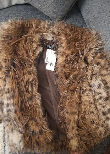 kürk leoparlı - Görsel 11