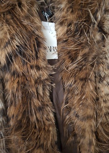 kürk leoparlı - Görsel 10