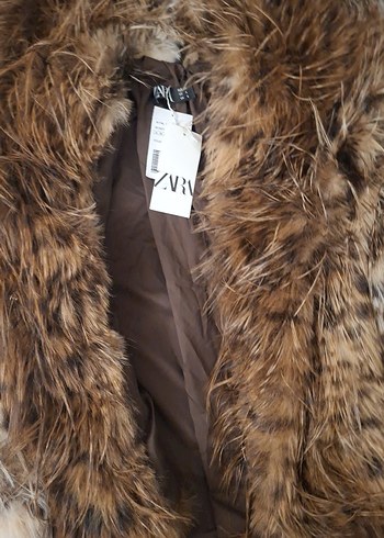 kürk leoparlı - Görsel 14