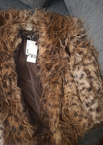 kürk leoparlı - Görsel 12