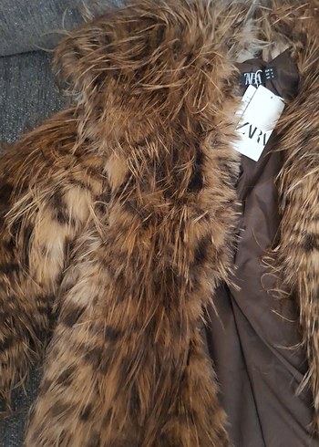 kürk leoparlı - Görsel 4