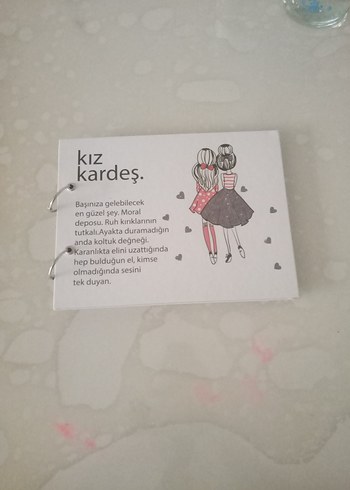Gri Kız Kardeş Temalı Defter