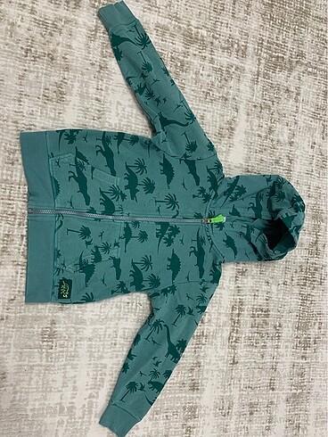 H&M 4-6 yaş sweatshirt erkek çocuk