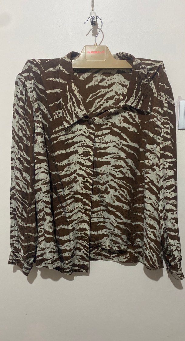 Kahverengi Zebra Desenli V Yakalı Kadın Gömlek - Görsel 2