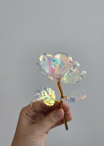 Sonsuzluk gülü - Görsel 6