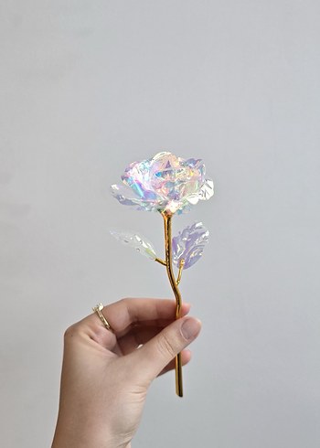 Sonsuzluk gülü - Görsel 7