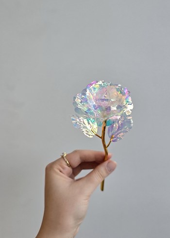 Sonsuzluk gülü - Görsel 5