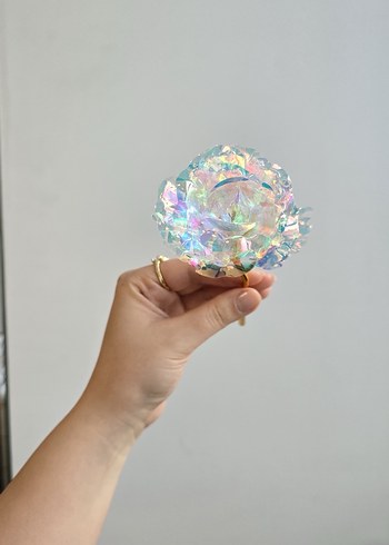 Sonsuzluk gülü - Görsel 2