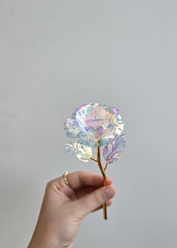 Sonsuzluk gülü - Görsel 4