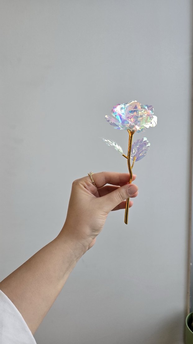 Sonsuzluk gülü - Görsel 3