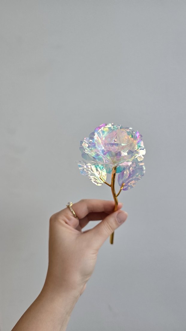 Sonsuzluk gülü - Görsel 5