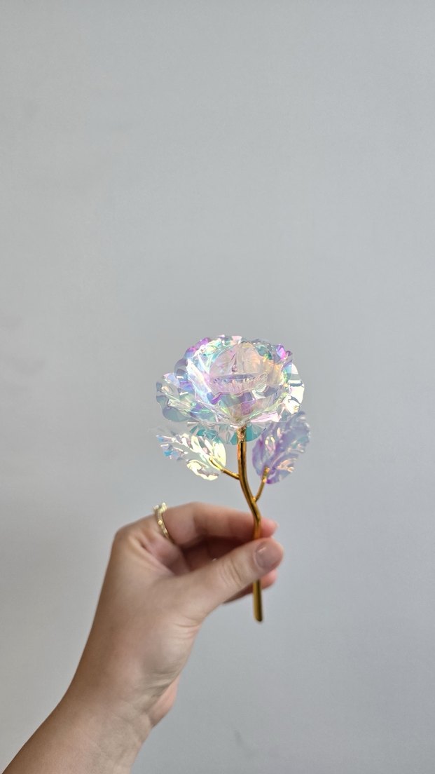 Sonsuzluk gülü - Görsel 4