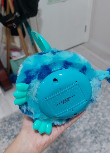  Beden Furby