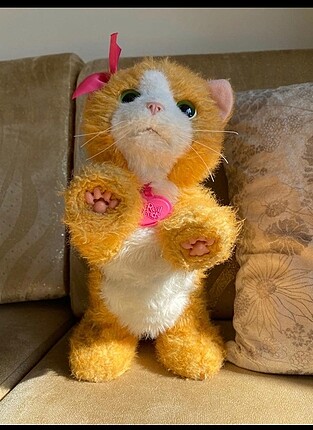 Furreal kedi