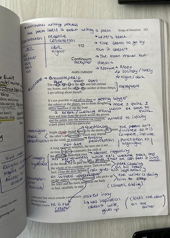 Cambridge Şiir Antolojisi - Songs of Ourselves - Görsel 5