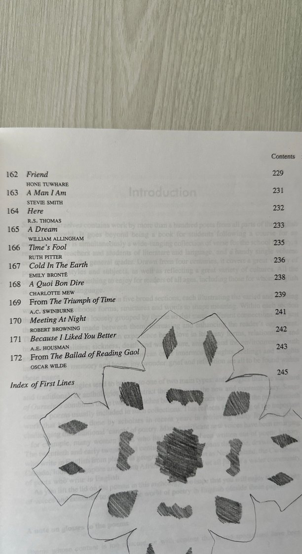 Cambridge Şiir Antolojisi - Songs of Ourselves - Görsel 3