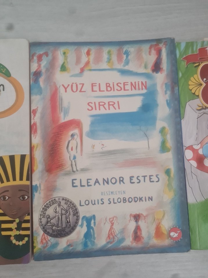 Çocuk Kitapları Seti - 4 Kitap - Görsel 4