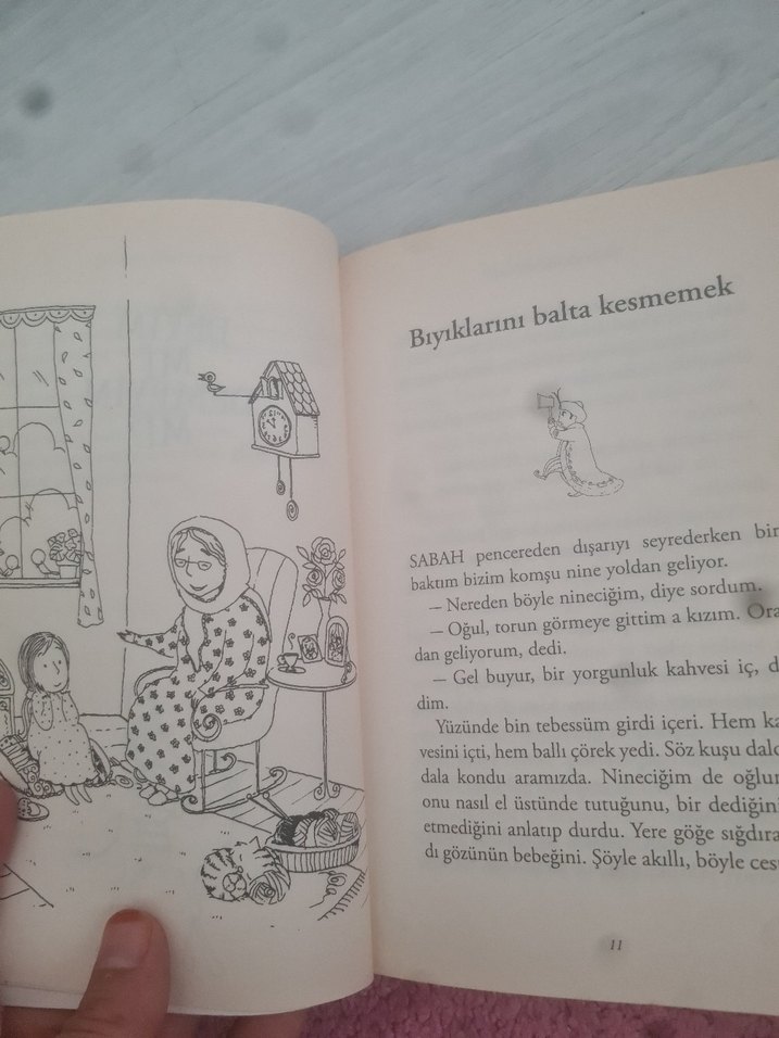 Deyim Mi Demeyim Mi? - Melek Çe - Görsel 3