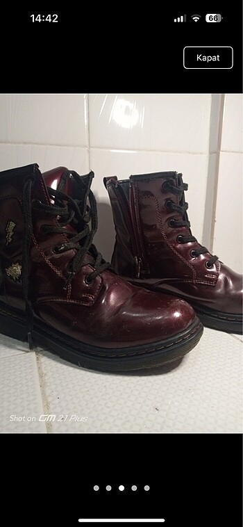 Bordo bot