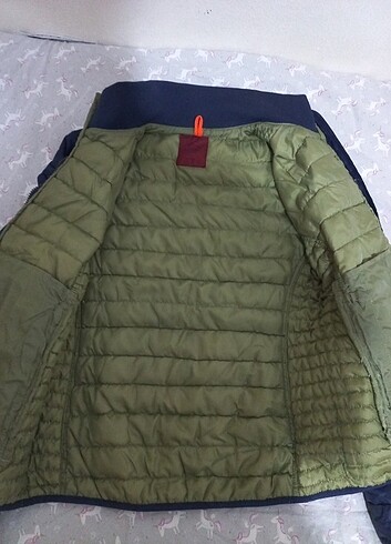 Collezione Kadın mont