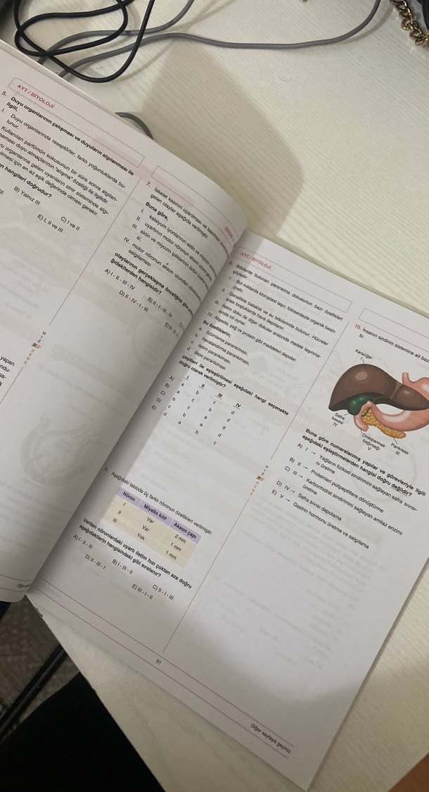 AYT Biyoloji Denemeleri Kitabı 24x13 - Görsel 4