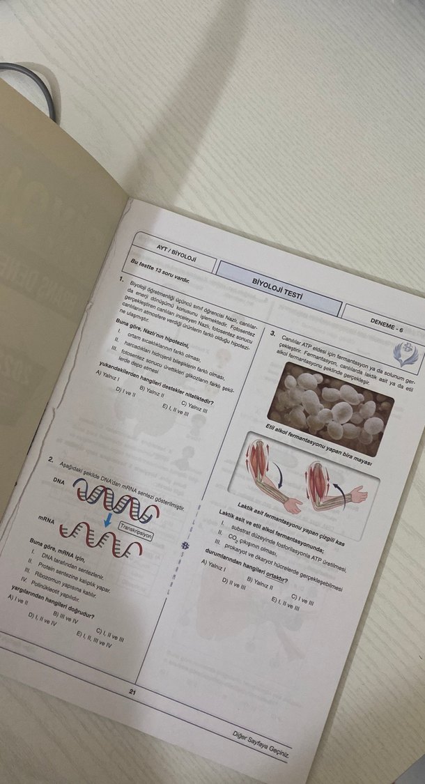 AYT Biyoloji Branş Denemeleri 25x13 - Görsel 3