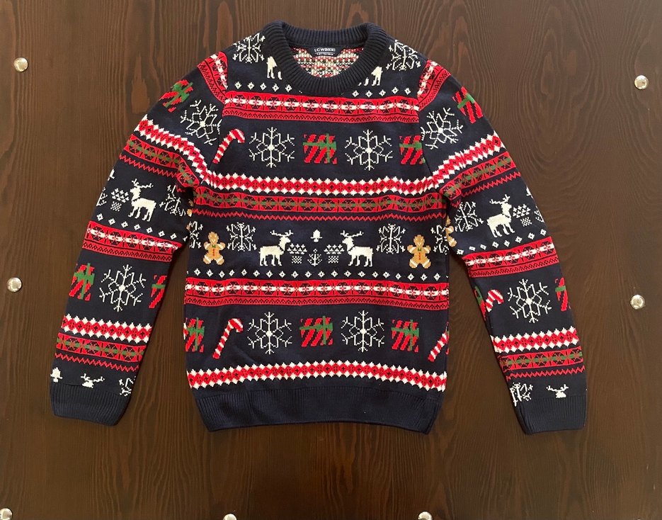 LC WAIKIKI ERKEK ÇOCUK KAZAK - Görsel 2