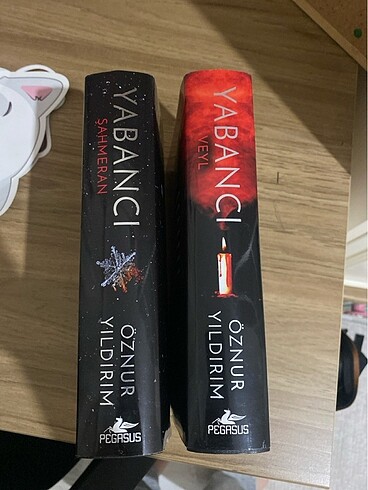 Yabancı ciltli set öznur yıldırım