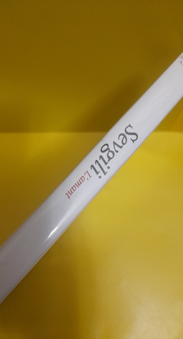 Sevgili - Jean-Jacques Annaud DVD - Görsel 5