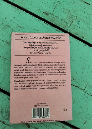 Sana Gül Bahçesi Vadetmedim - Joanne Greenberg - Görsel 2