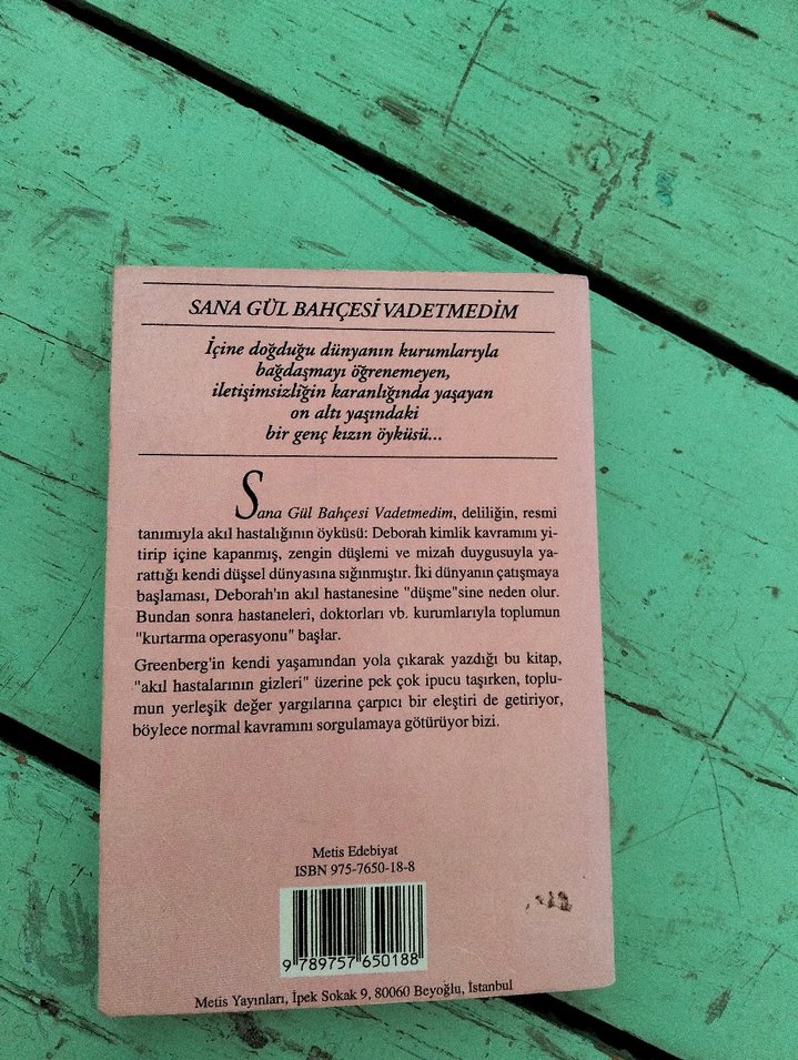 Sana Gül Bahçesi Vadetmedim - Joanne Greenberg - Görsel 2
