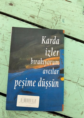 Kalbim Unut Bu Şiiri - Ahmet Tellı - Görsel 2