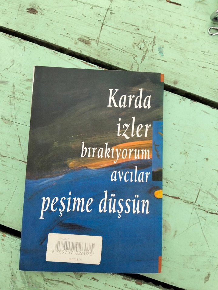 Kalbim Unut Bu Şiiri - Ahmet Tellı - Görsel 2